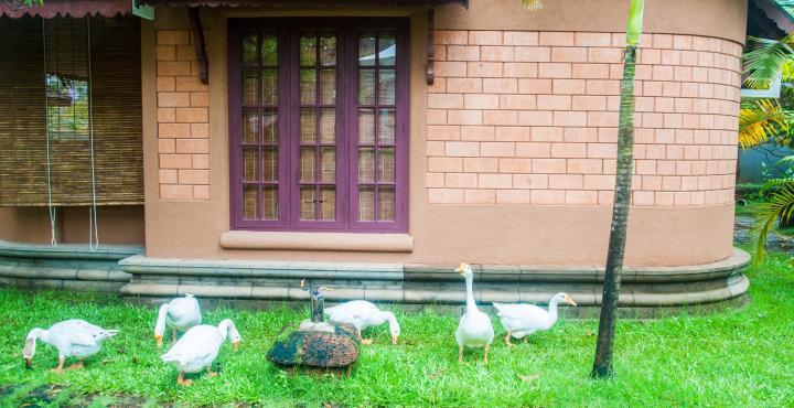 Pagoda Resorts Alappuzha Eksteriør bilde